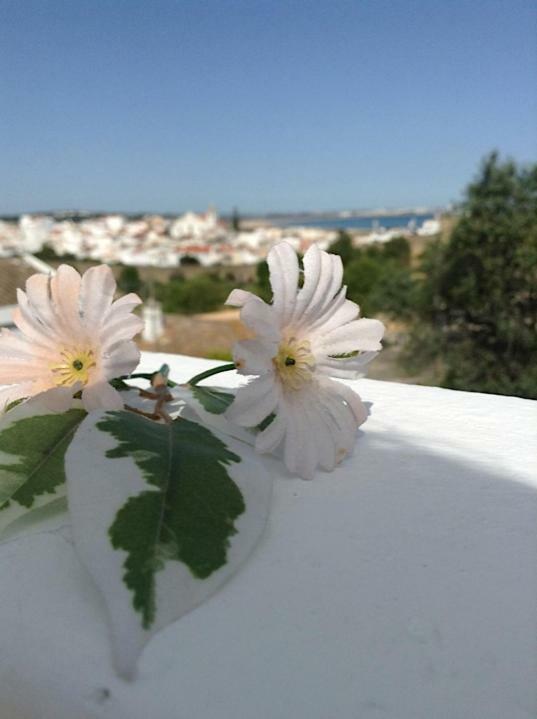 Casaduarte "Balcony" Διαμέρισμα Λάγος Εξωτερικό φωτογραφία